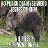 Wchodząc do lasu