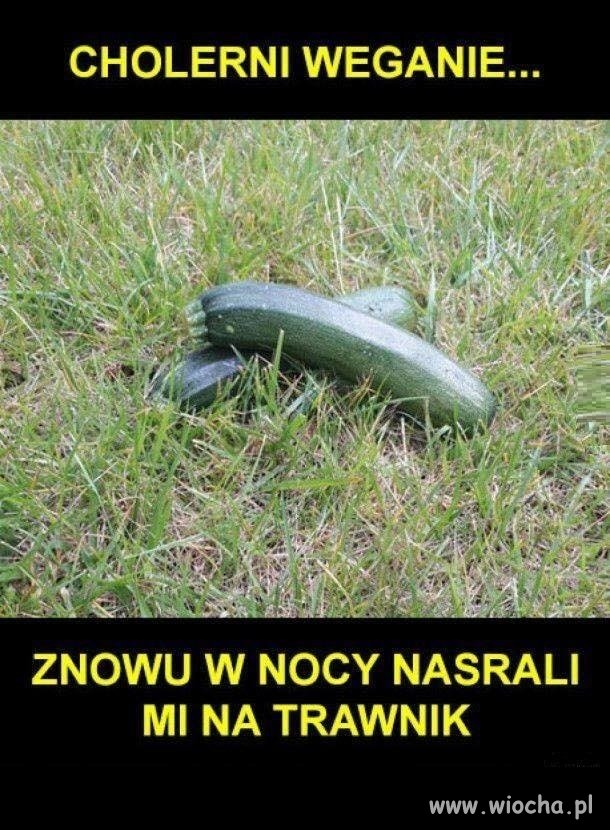 Źli weganie