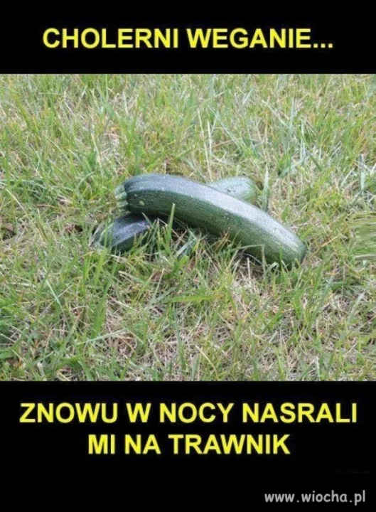 Źli weganie