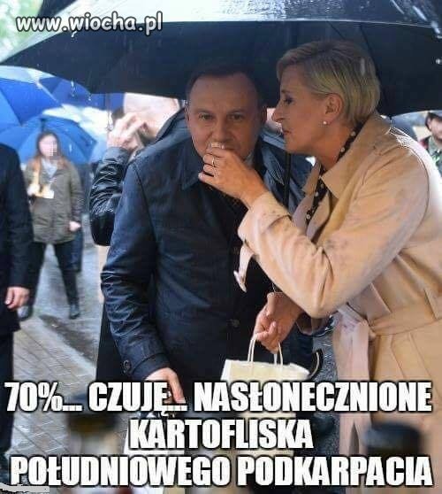 Degustacja