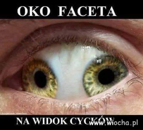Może to przesada