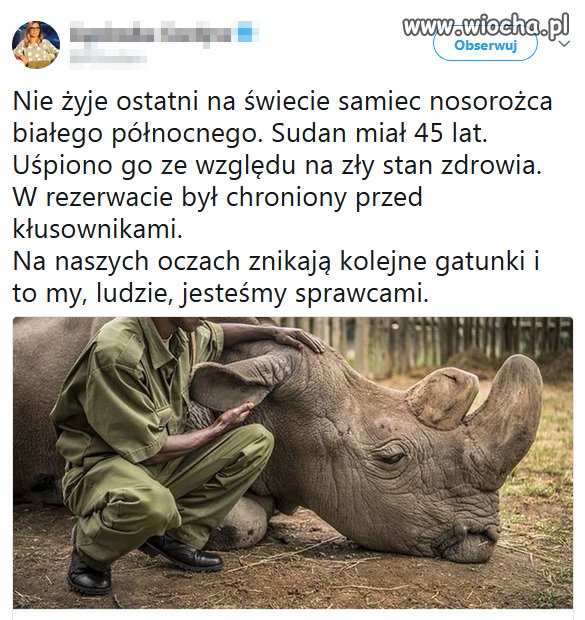 Kłusownicy wybili
