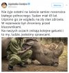 Kłusownicy wybili