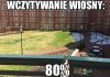 Wczytywanie wiosny