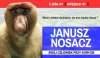 Bardzo na czasie i bardzo uniwersalne