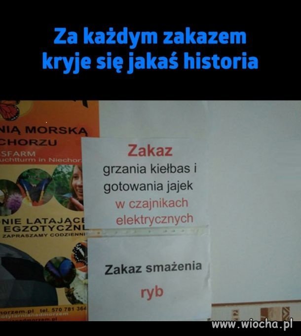 Pomysłowość ludzka