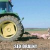 Seź Oralny 
