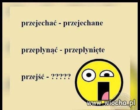 Polska języka
