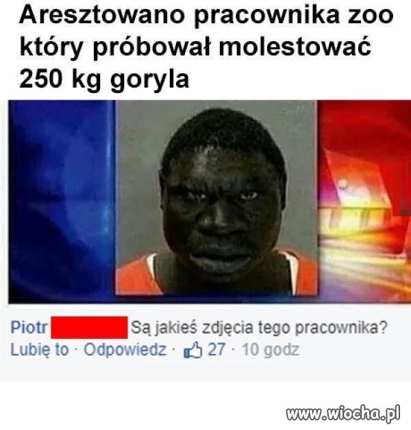 Wiadomość z ostatniej chwili