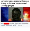Wiadomość z ostatniej chwili