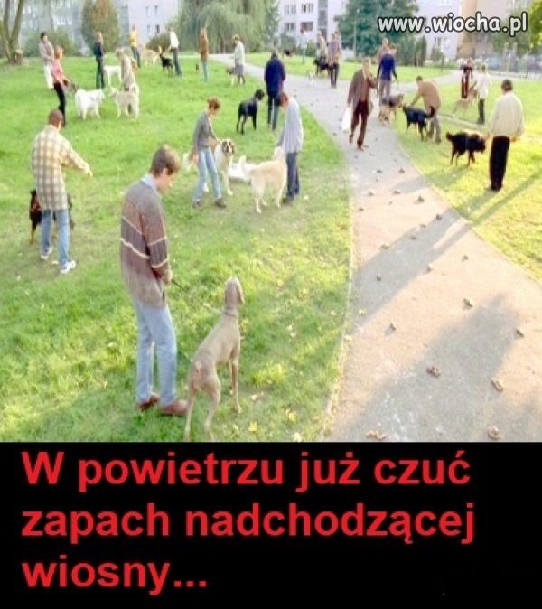 Wiosna, wiosna