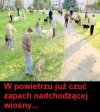 Wiosna, wiosna