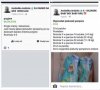 Andżelika ma pomysł 