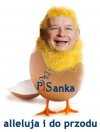 Pisanka