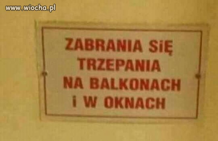 To gdzie ja mam trzepać?