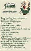 Pestki