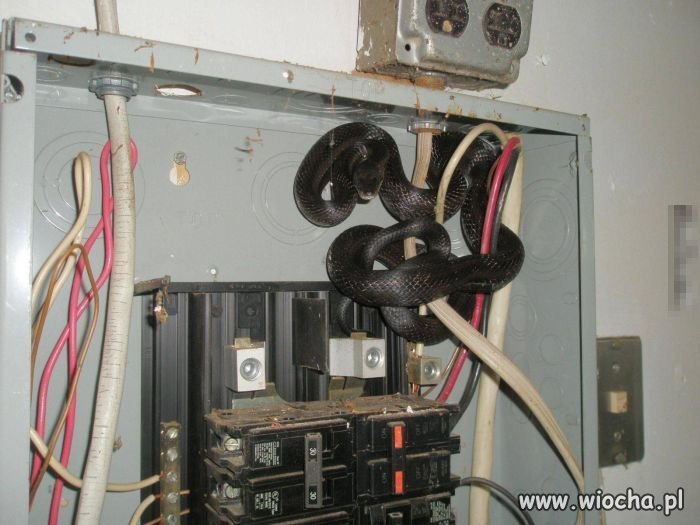 Elektryk przyjechał otworzył skrzynkę