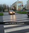 Wszystko zgodnie z przepisami