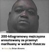 Dzieje się na świecie