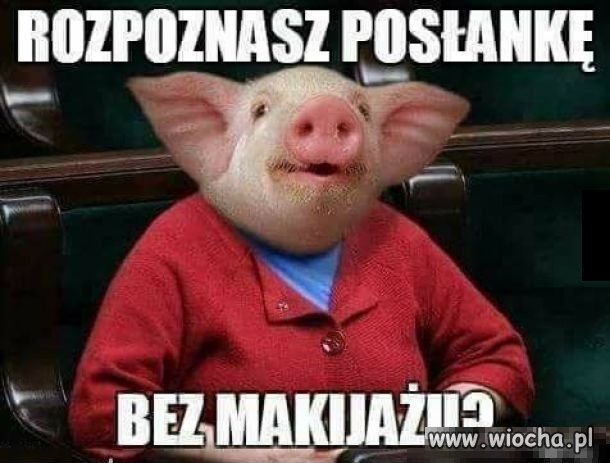 Zgadniesz