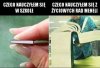 Mądrości