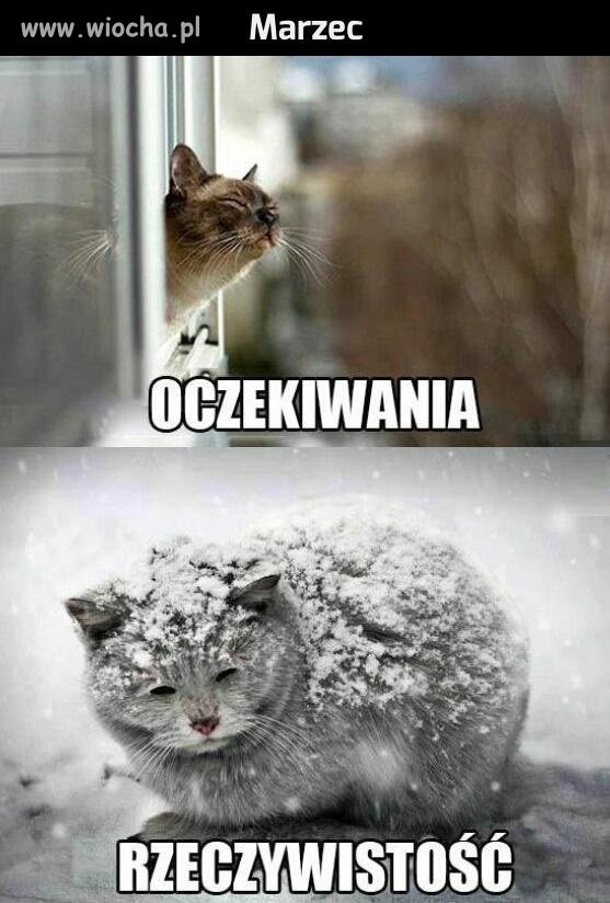 Marzec