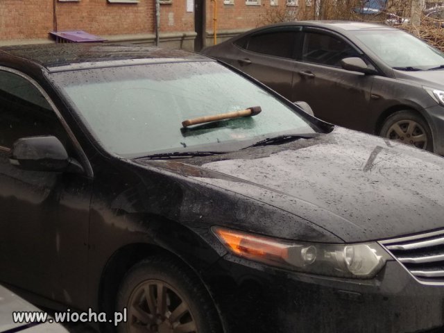 Zemsta sąsiada