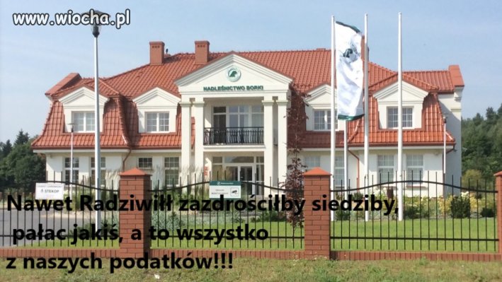 Nadleśnictwo Borki ma gest!