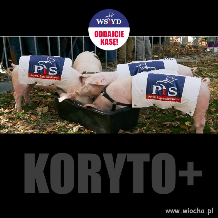 Koryto +