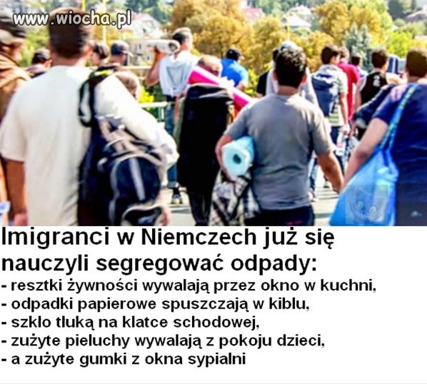 Asymilacja w pełni. Rośnie świadomość ekologiczna