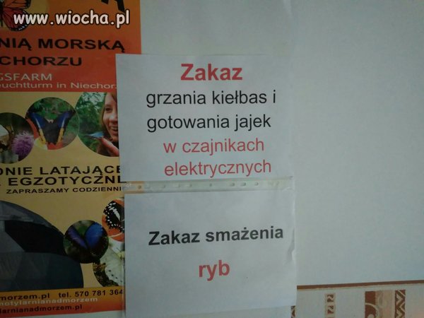 Albo stołówka pracownicza albo akademik