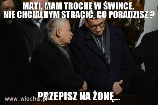 Albo na kota