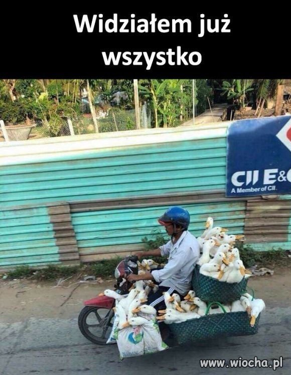 Transport