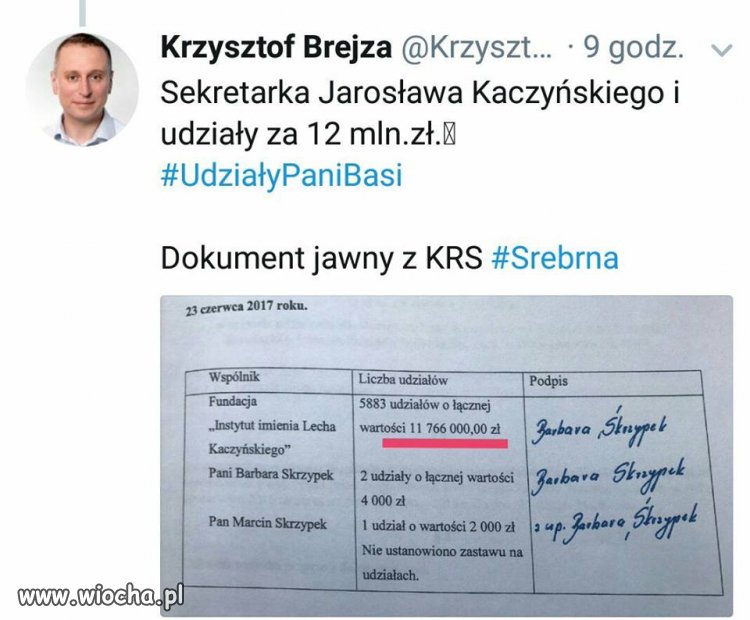 Udziały pani Basi 