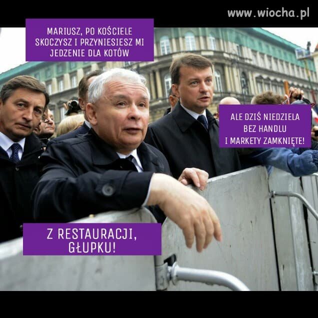 A co z kotem