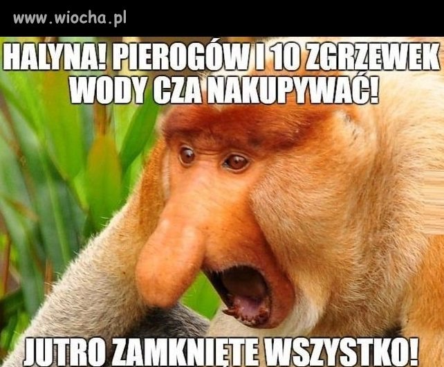 Niedziela bez handlu