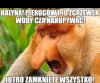 Niedziela bez handlu