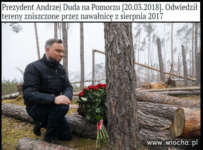 Tymczasem, ponad pół roku po tragedii ...