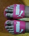 Co Puma to Puma