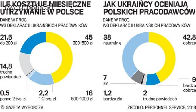 Przyjeżdżają do Polski i niszczą rynek pracy