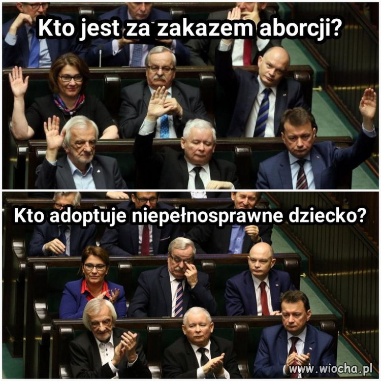 Polityka w pigułce 