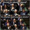 Polityka w pigułce 