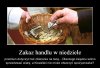 Słowo na niedziele
