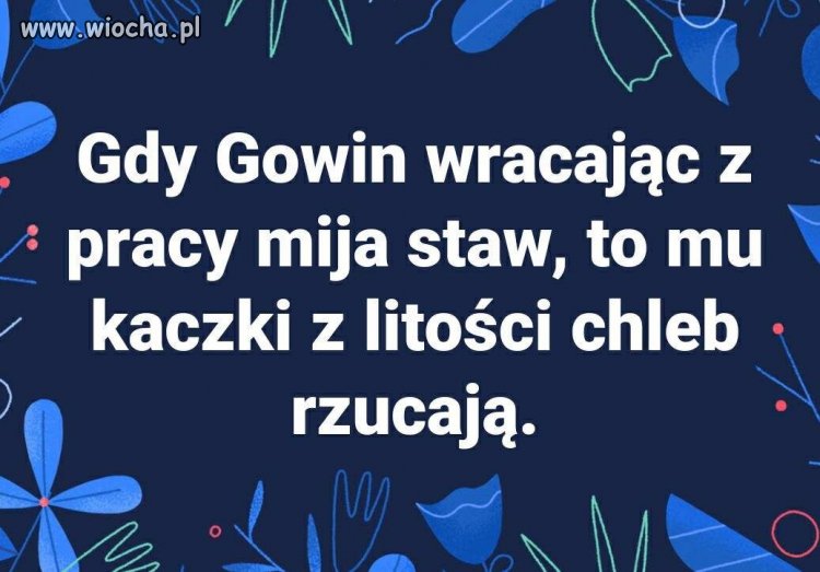 Gdzieś pomiędzy czymś 