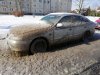 Potrzebna dobra skrobaczka