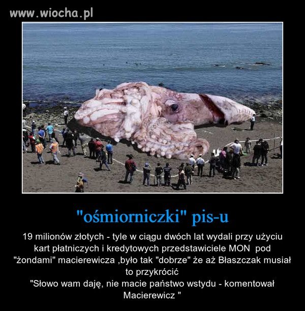 Przemiany dojnej zmiany