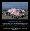 Przemiany dojnej zmiany