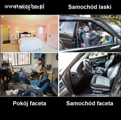 A laski mówią 