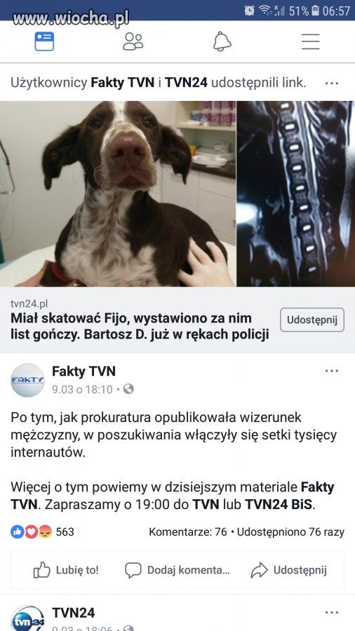 Nareszcie dopadli kata tego psiaka