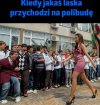 Polibuda